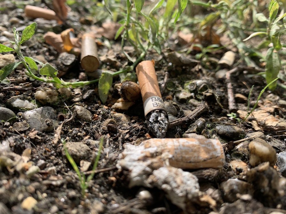 a cigarette that is laying on the ground