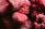 A close-up of several frozen raspberries, displaying their intricate textures and frosty surfaces.
