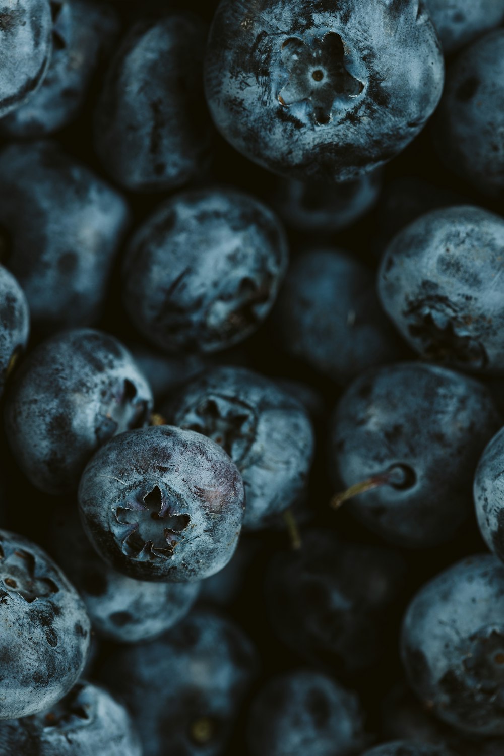 ein Haufen Blaubeeren, die vom Baum gepflückt wurden