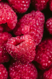 Close-up of fresh raspberries