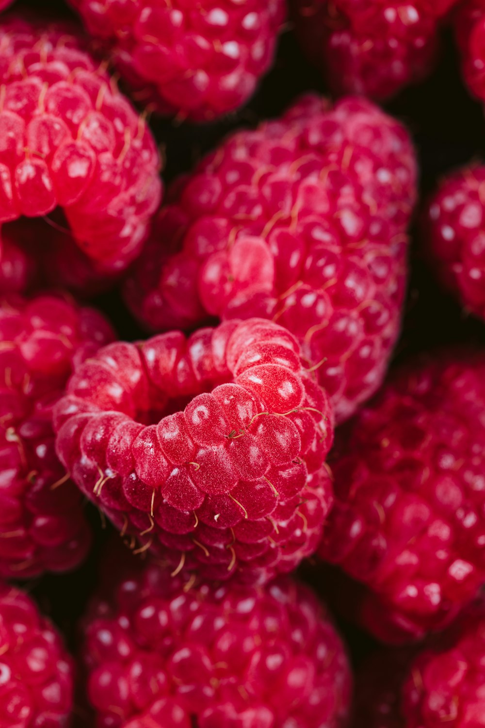 a close up of a bunch of raspberries