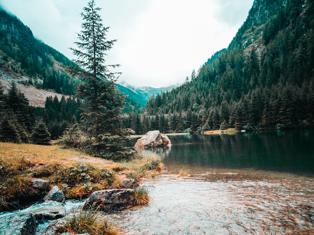 a mountain lake surrounded by trees and rocks