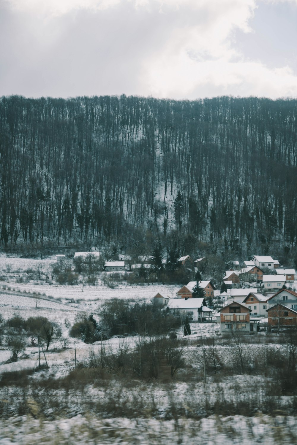 a snowy landscape with houses and a mountain in the background