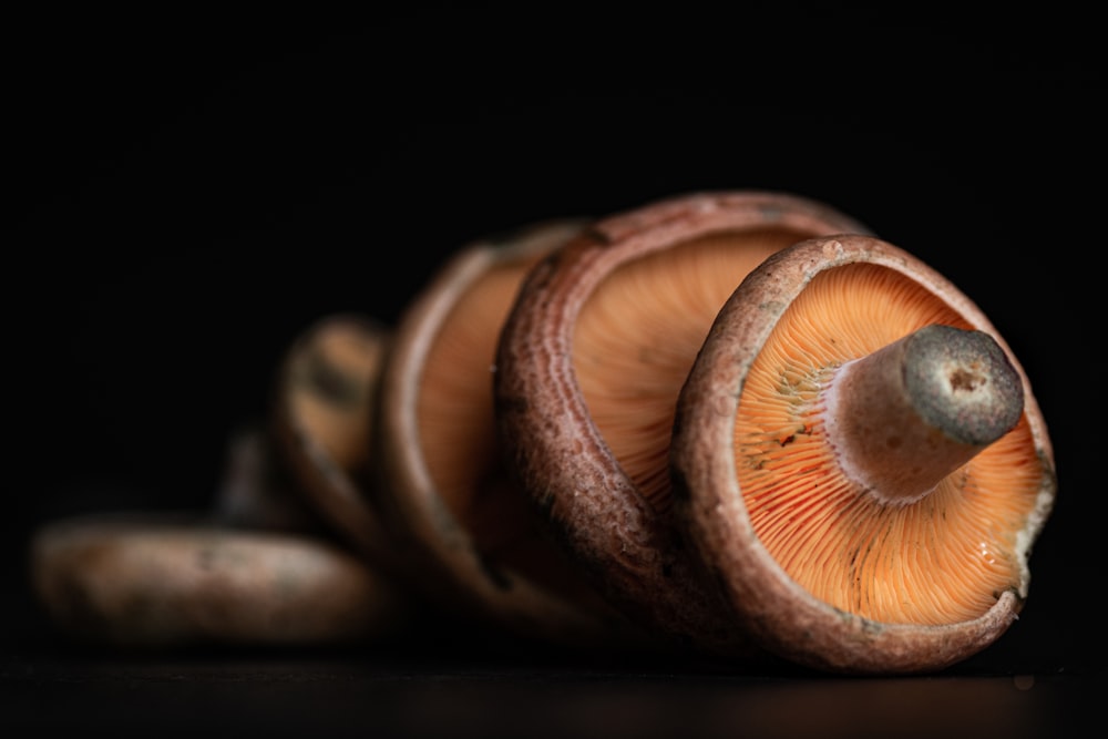 a close up of a mushroom on a black background