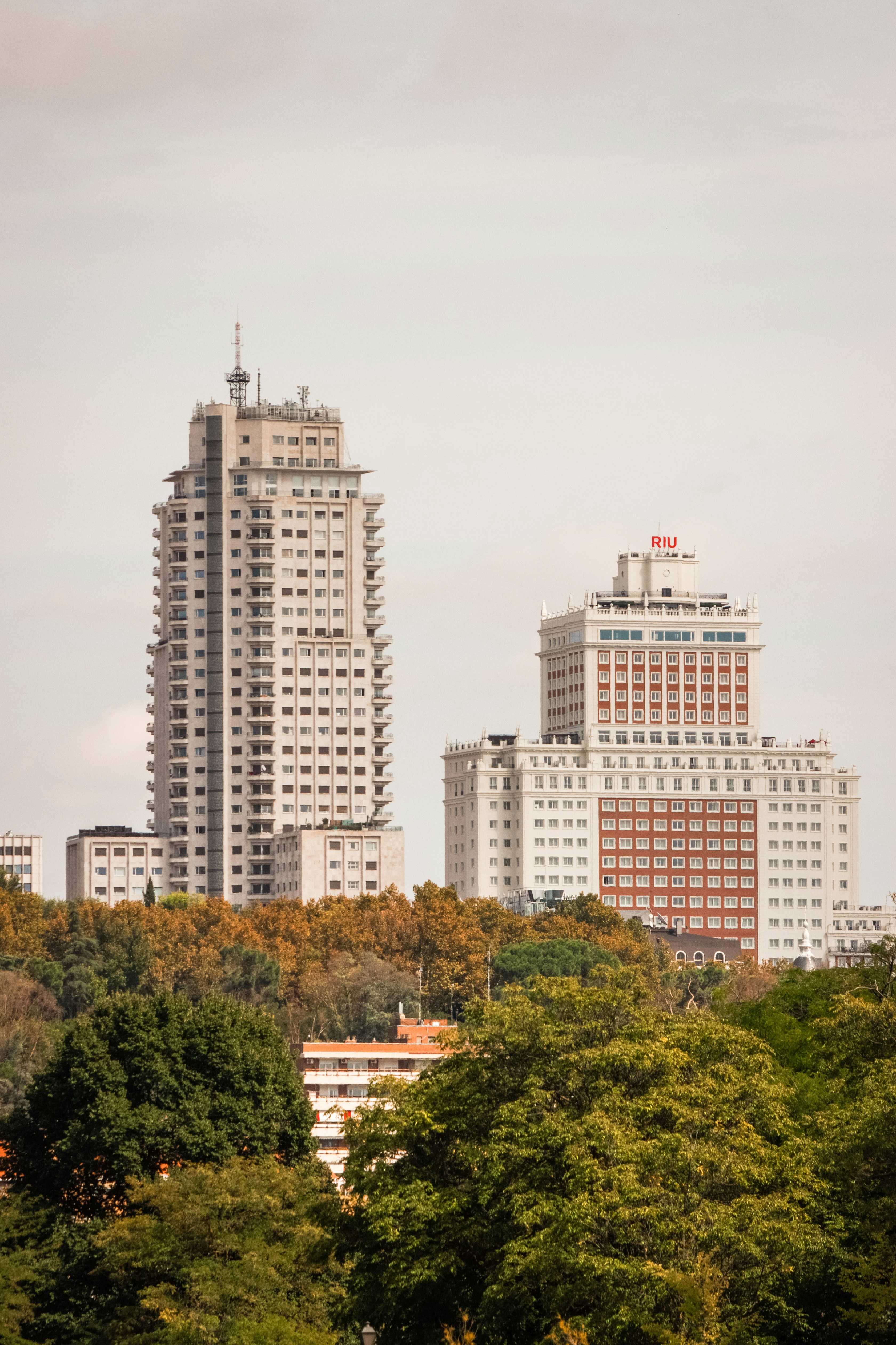 Photo by vincenzogallinaphotography