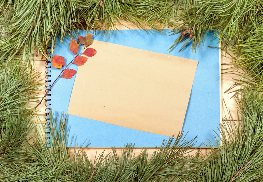 a piece of paper on a piece of blue paper surrounded by pine needles