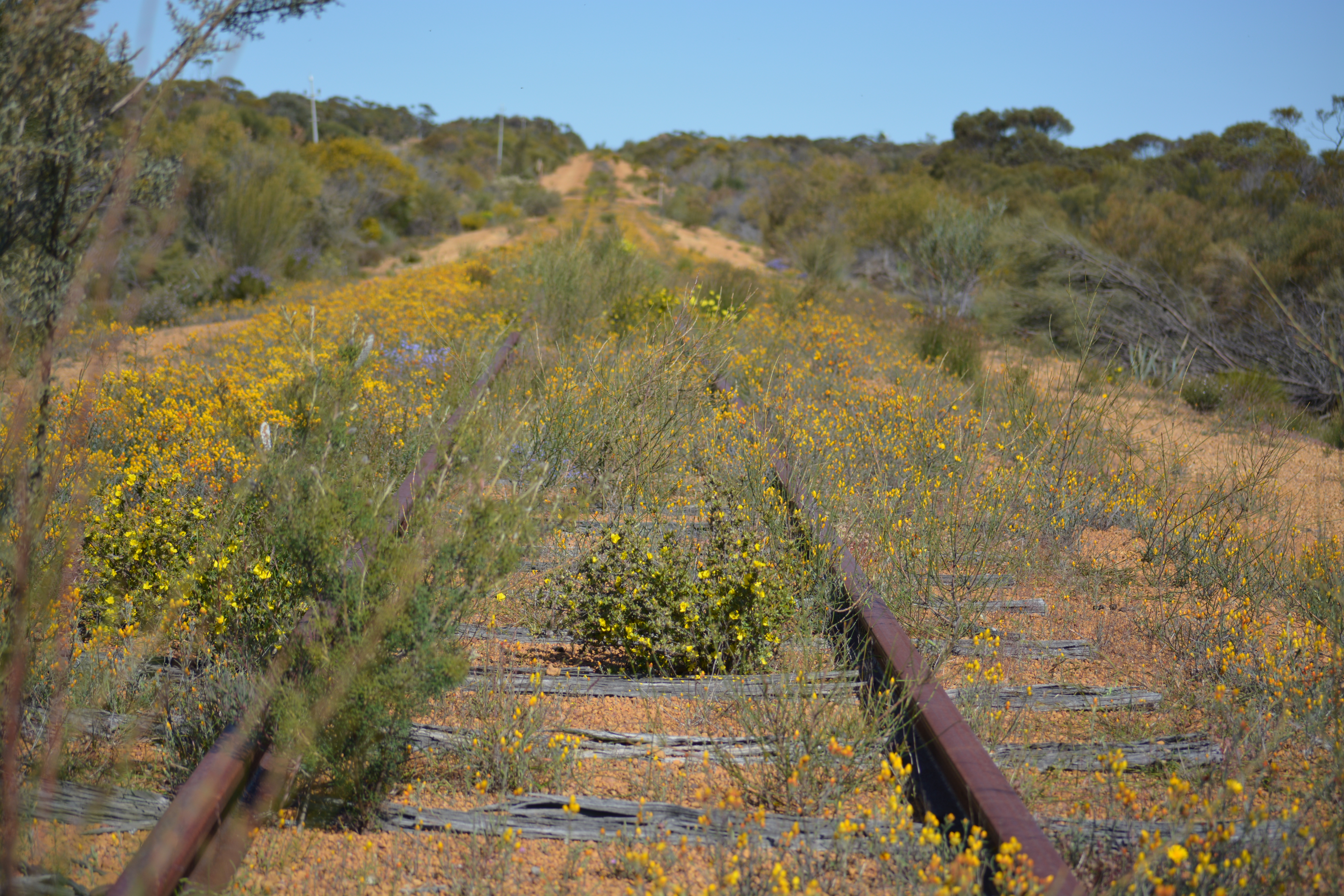 Wubin, Western Australia
