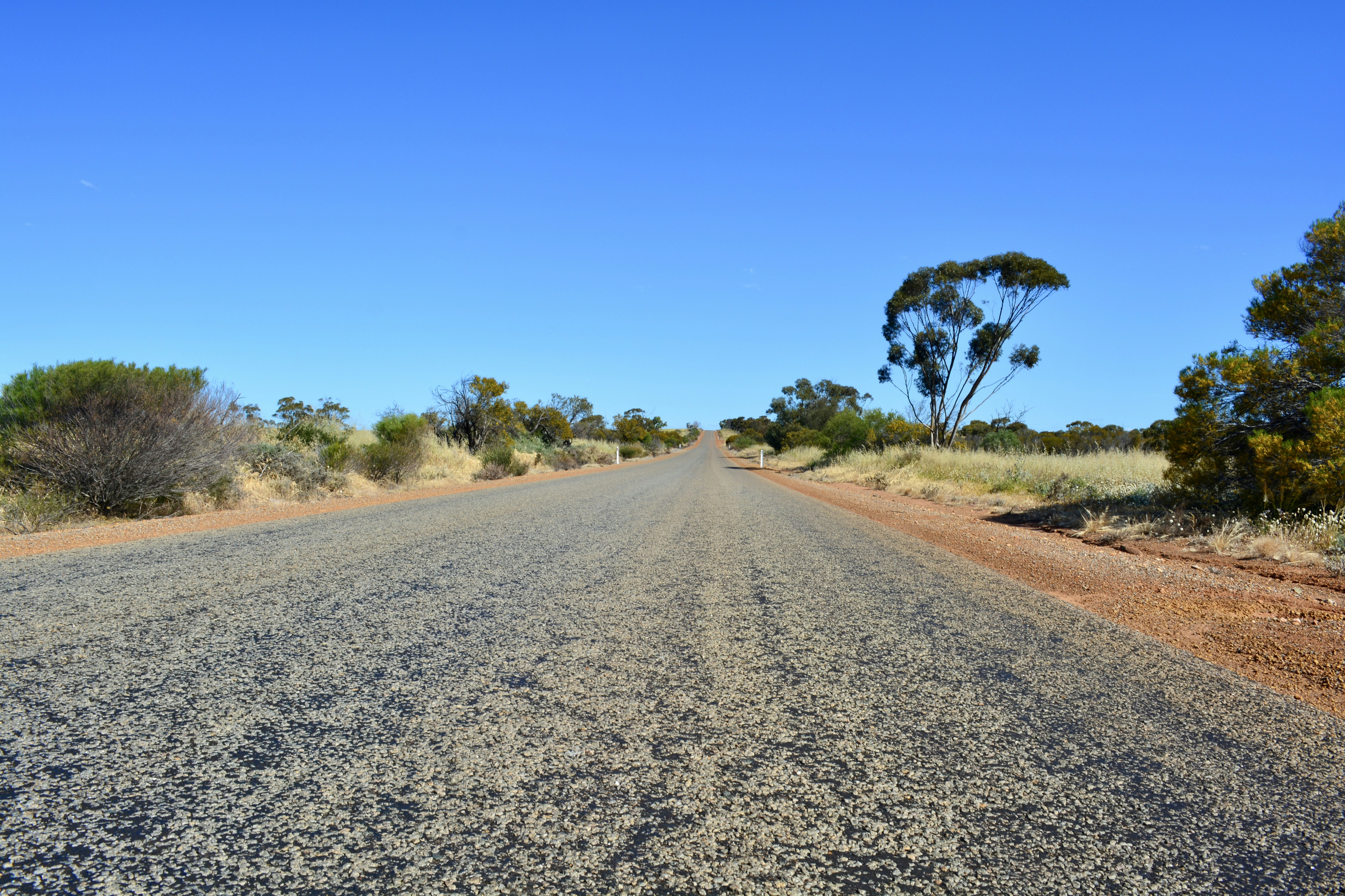 Photo by kshithijchandrashekar