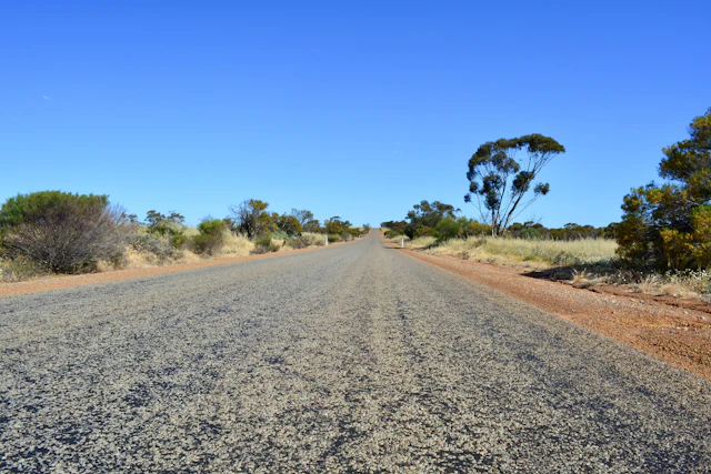 A gravel road running through Australian scrub