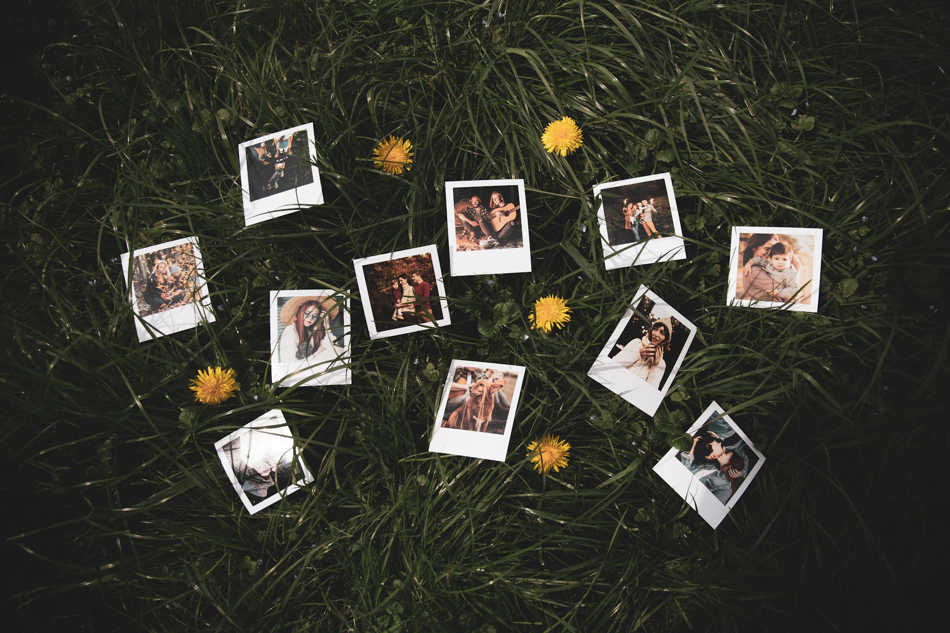 a bunch of polaroid pictures laying in the grass