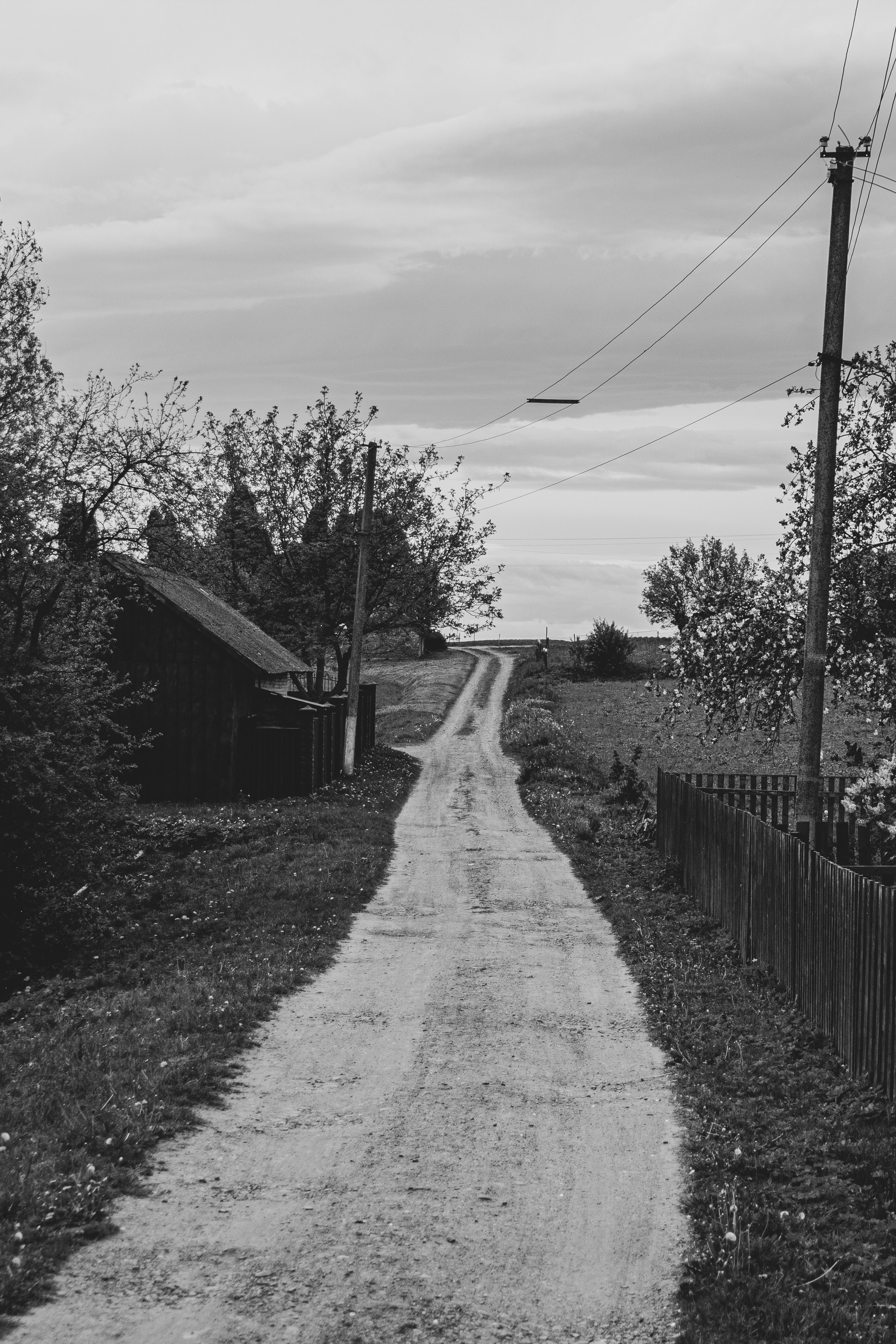 Photo by nocturnal_corvus