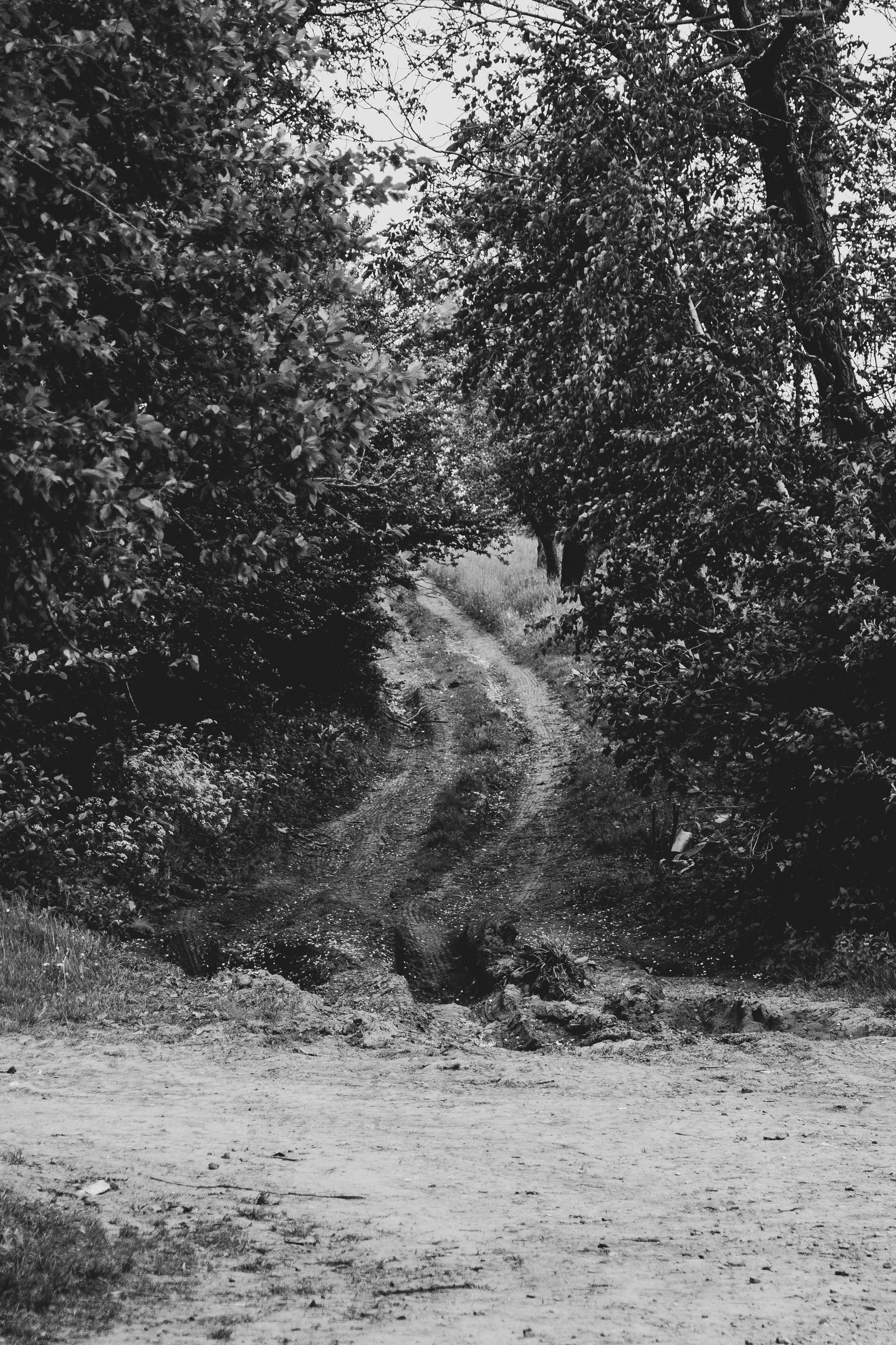 Photo by nocturnal_corvus