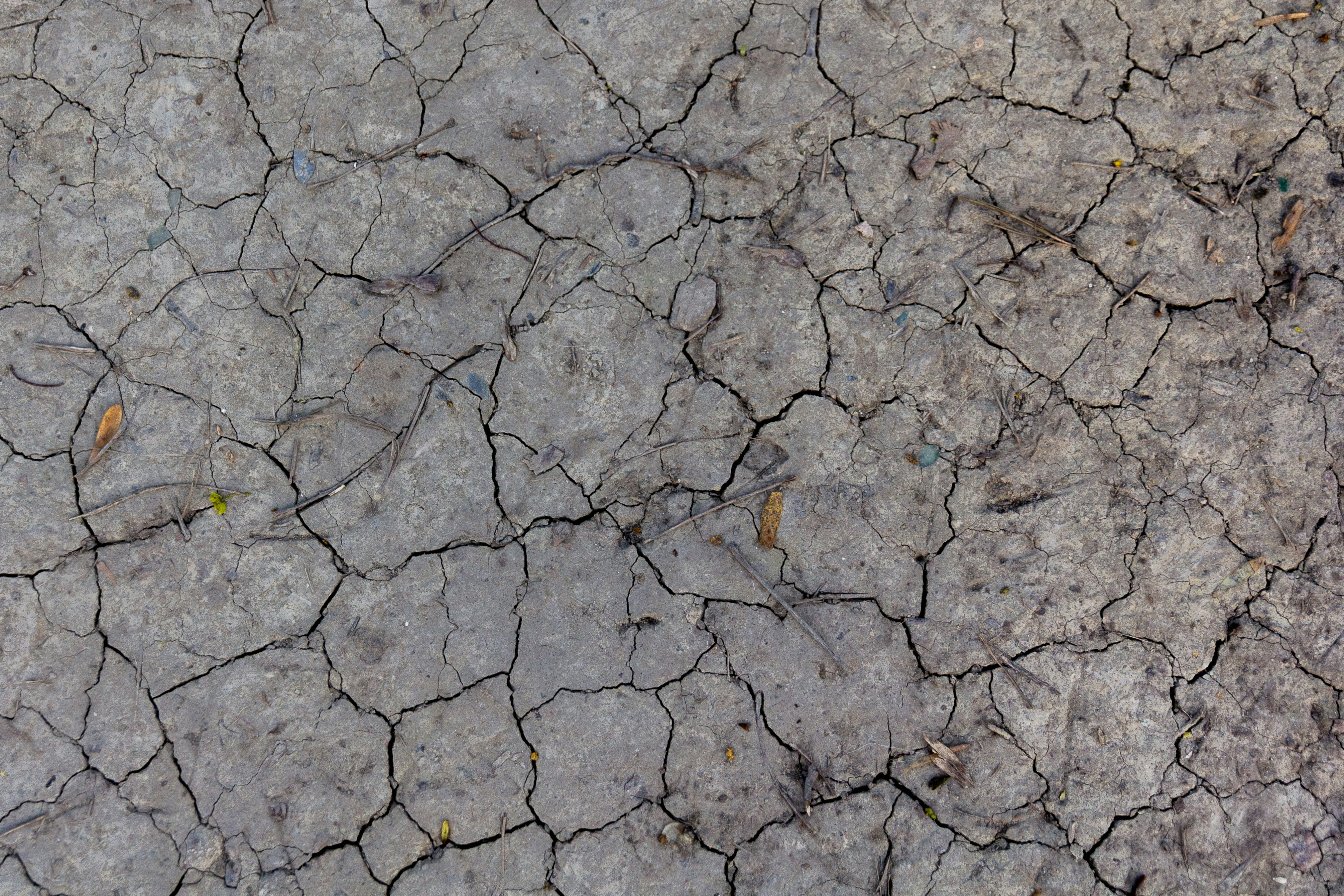 Photo by nocturnal_corvus