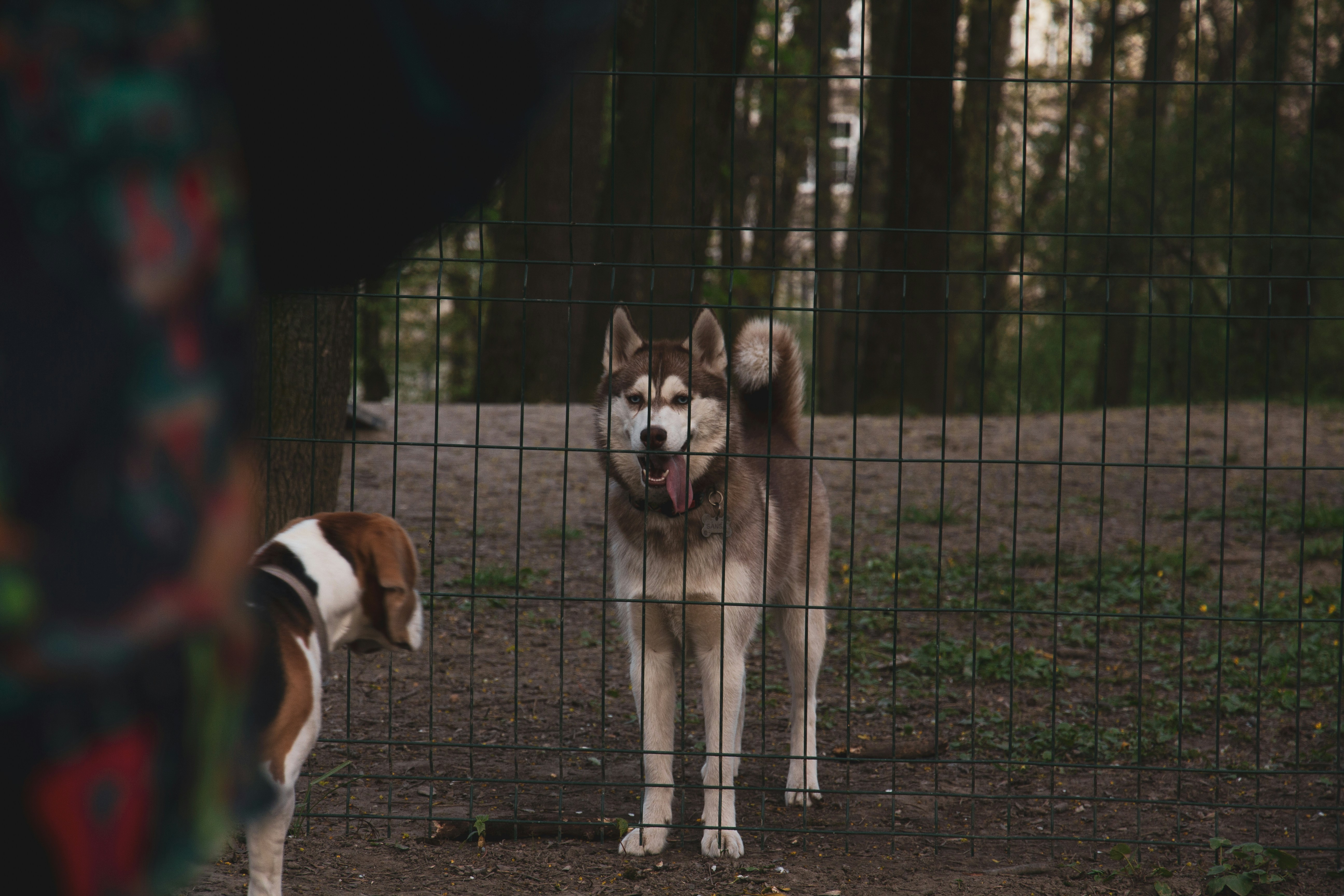 Photo by nocturnal_corvus