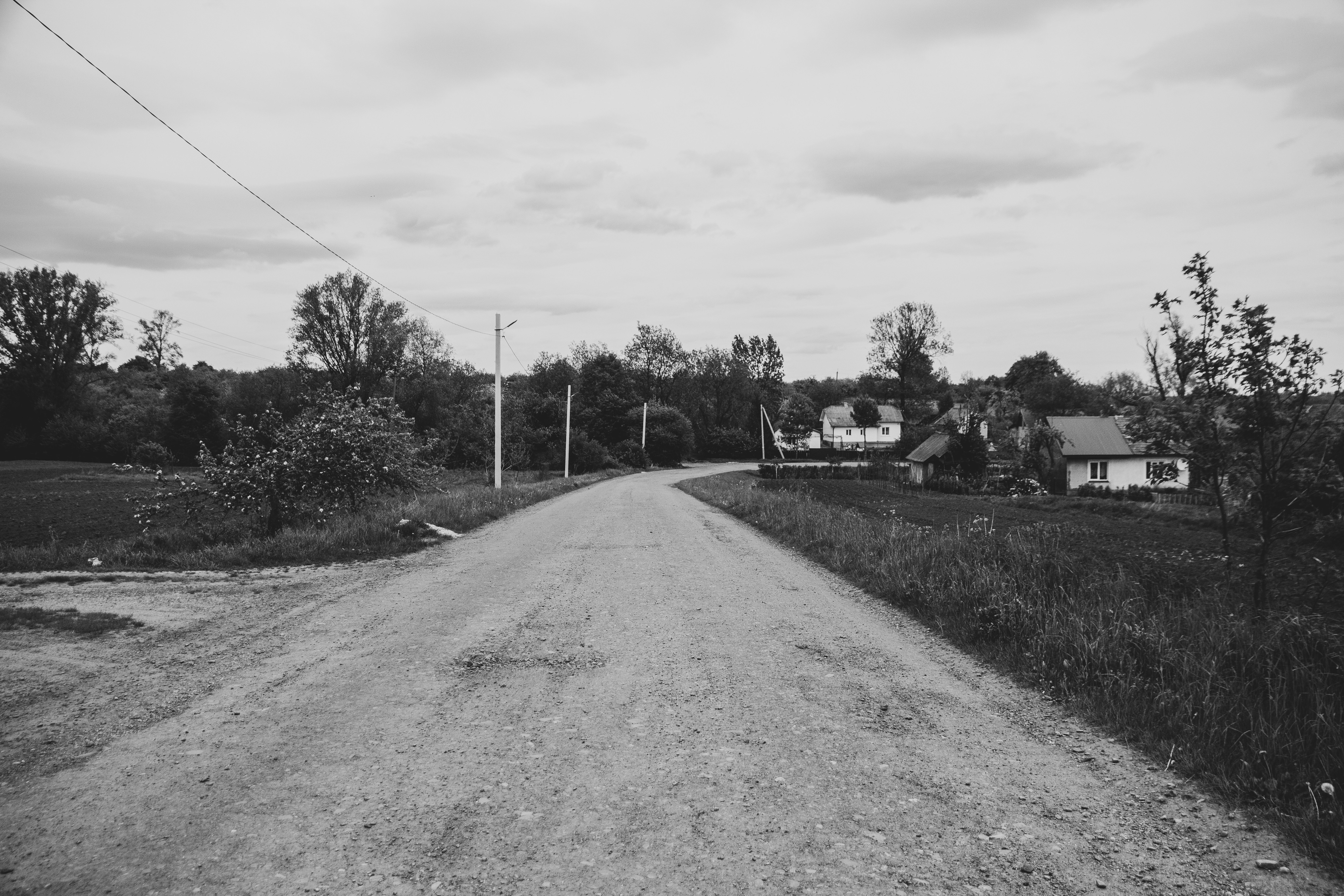 Photo by nocturnal_corvus