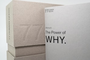 5 Whys
