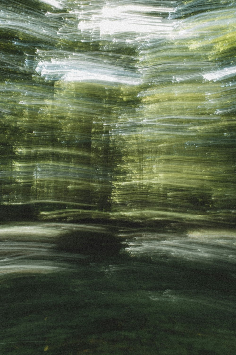 a blurry photo of trees in a forest