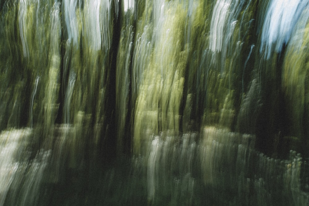 a blurry photo of trees in a forest