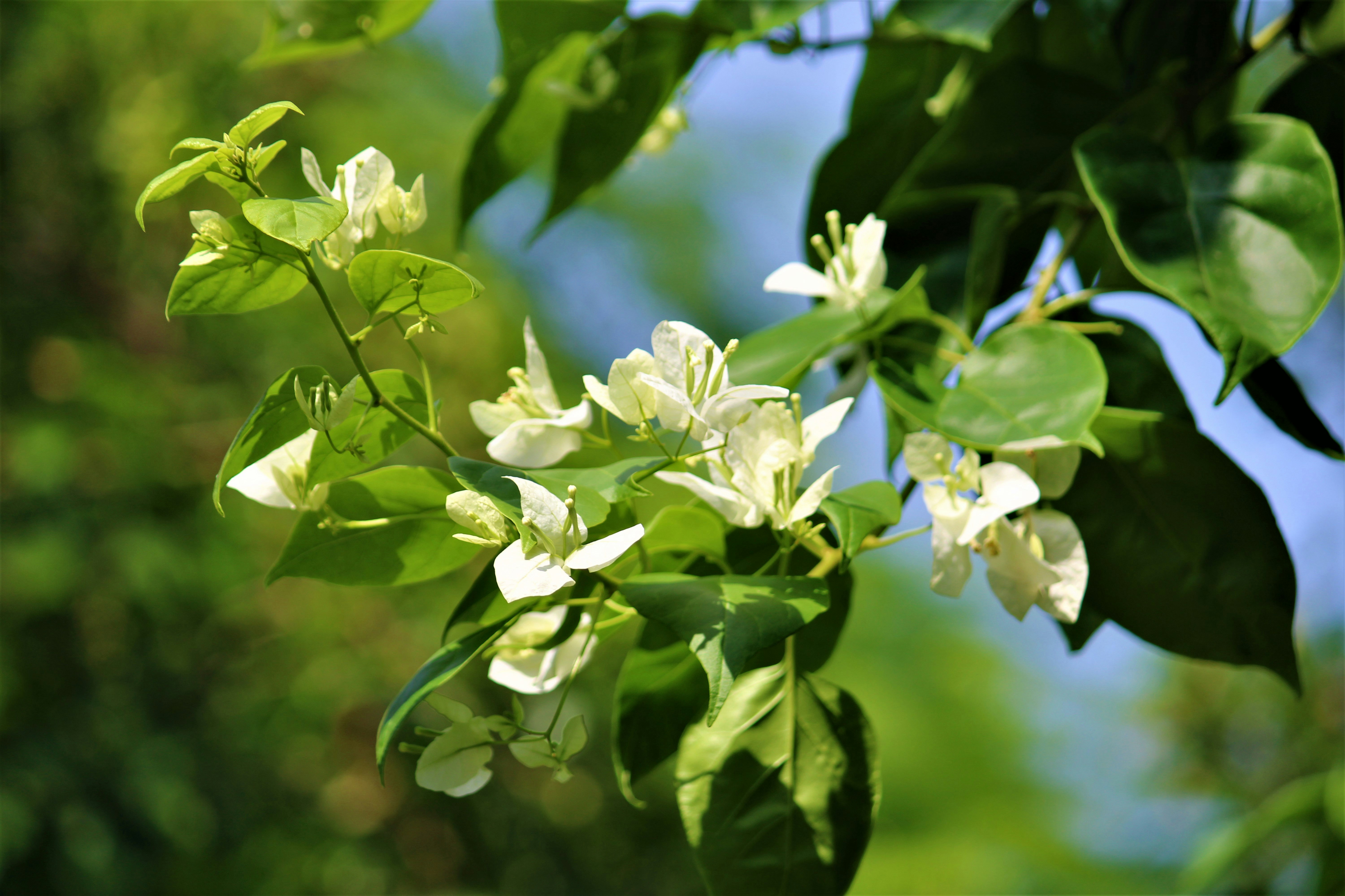 Photo by shabiba_amin