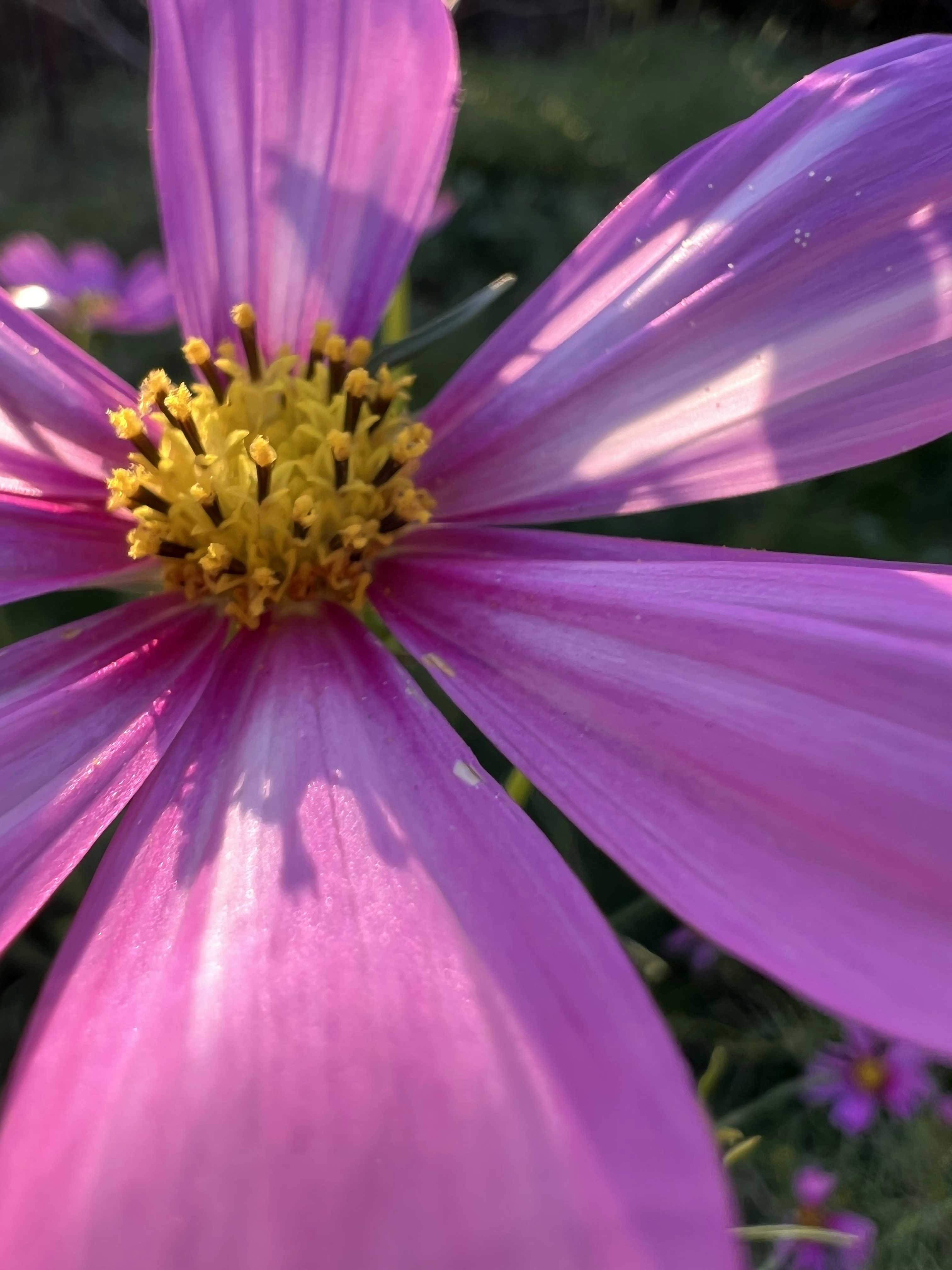 Photo by quanquan1115