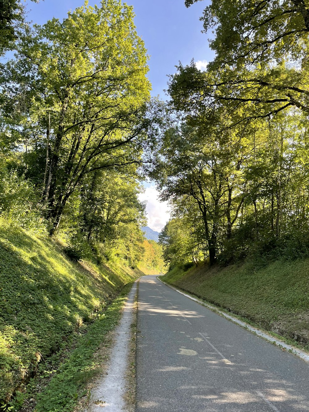 an empty road surrounded by trees and grass