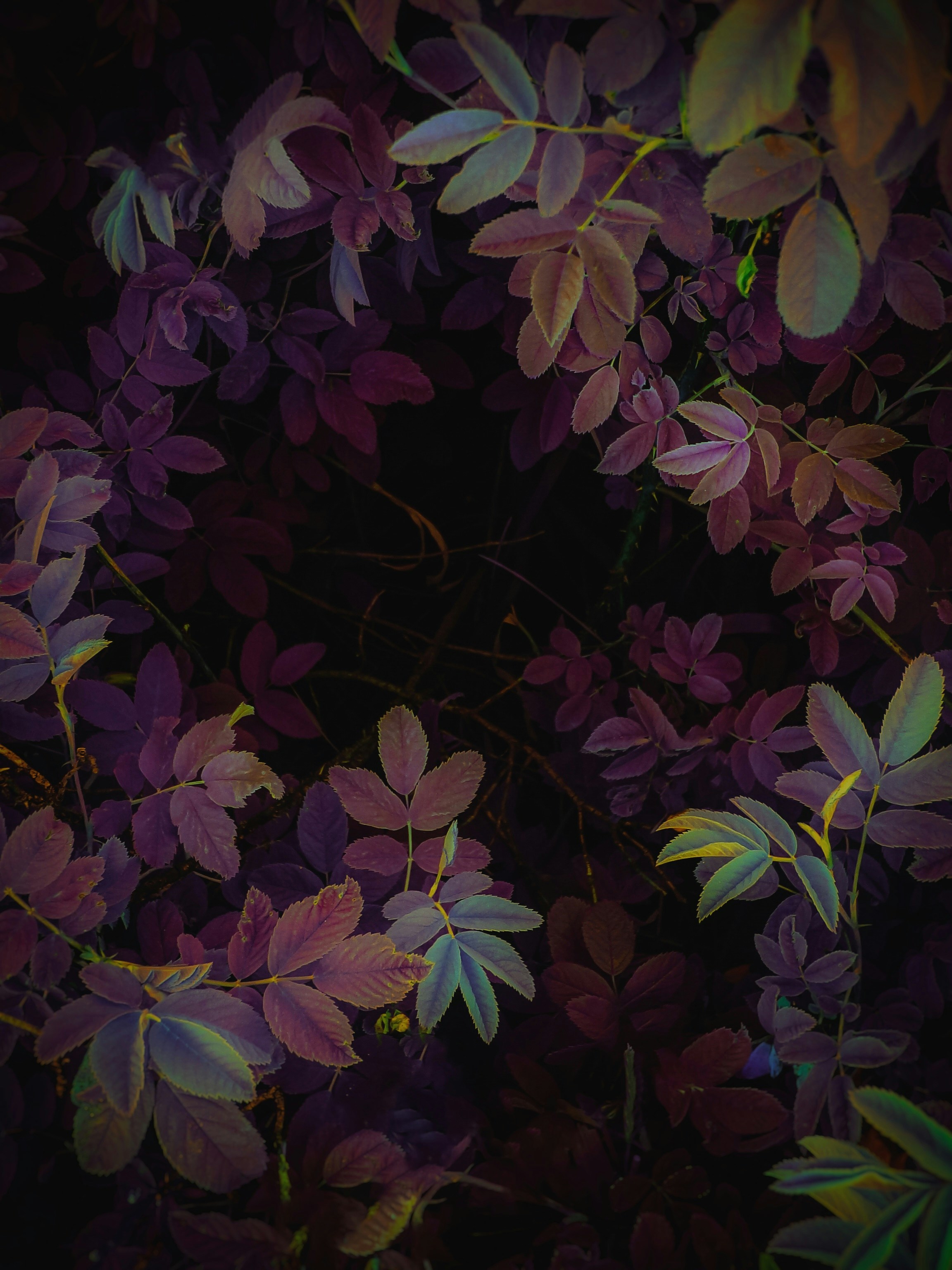 Photo by eugene_golovesov