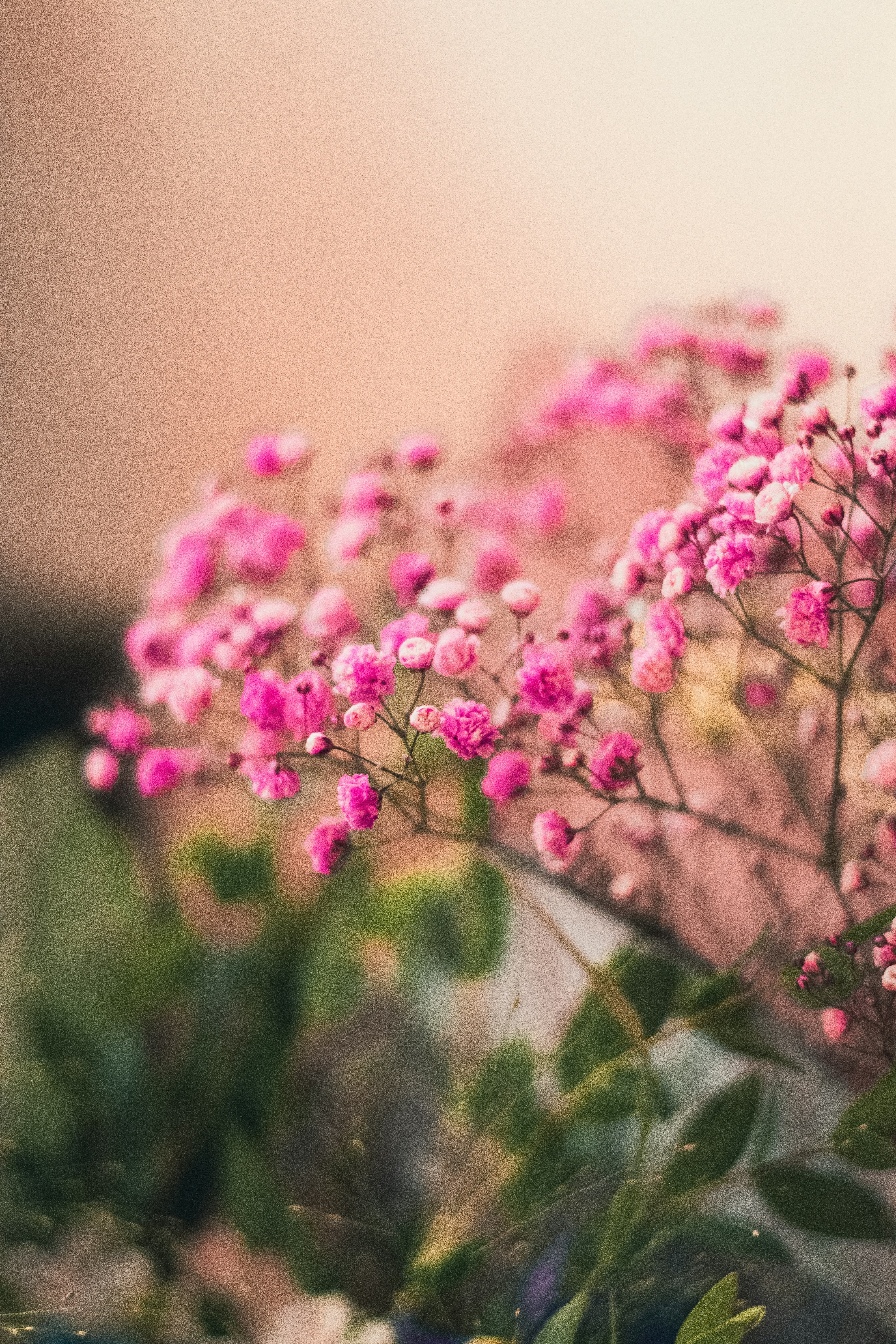 Photo by rutaurban