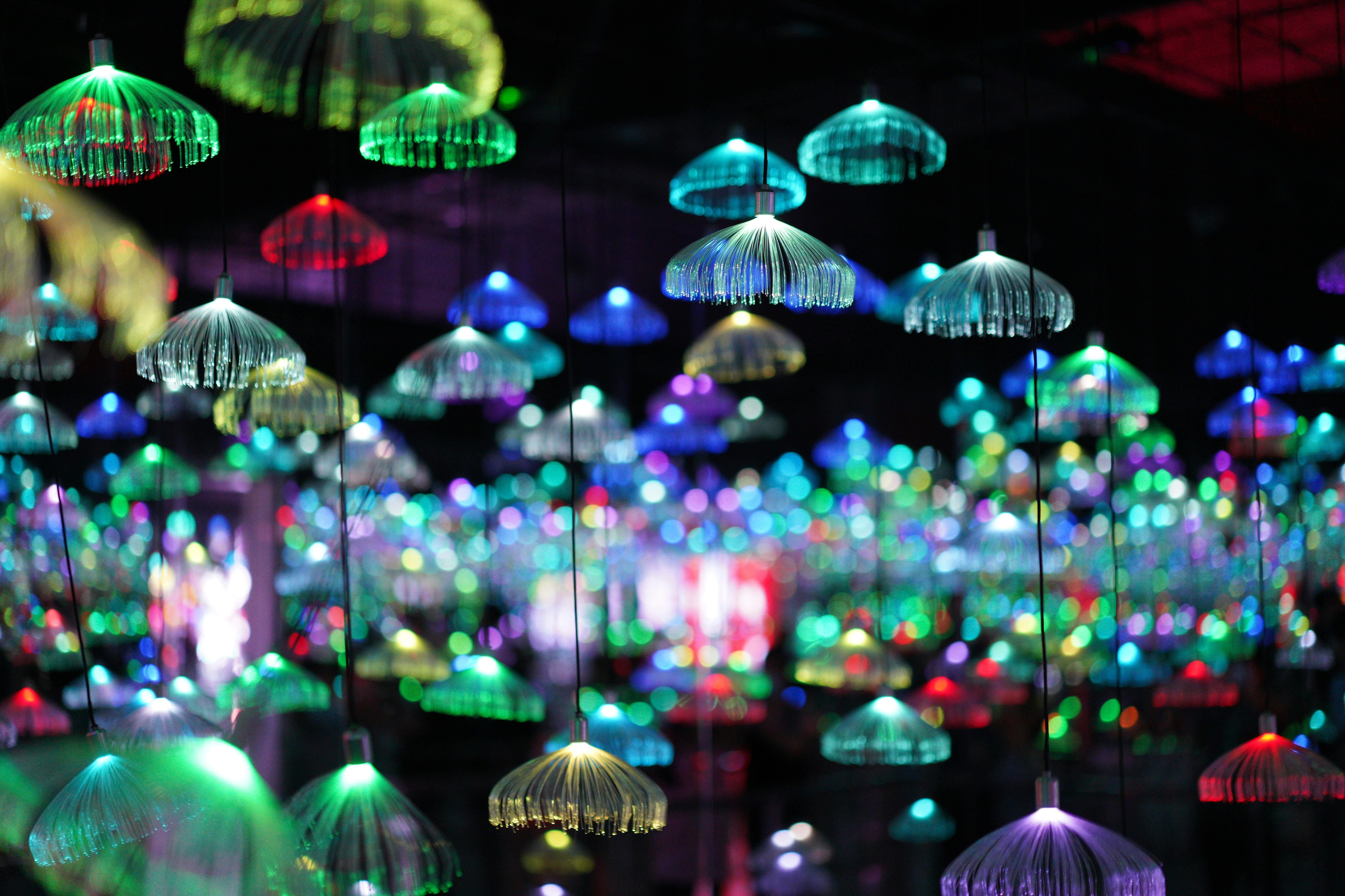 Photo by quanquan1115