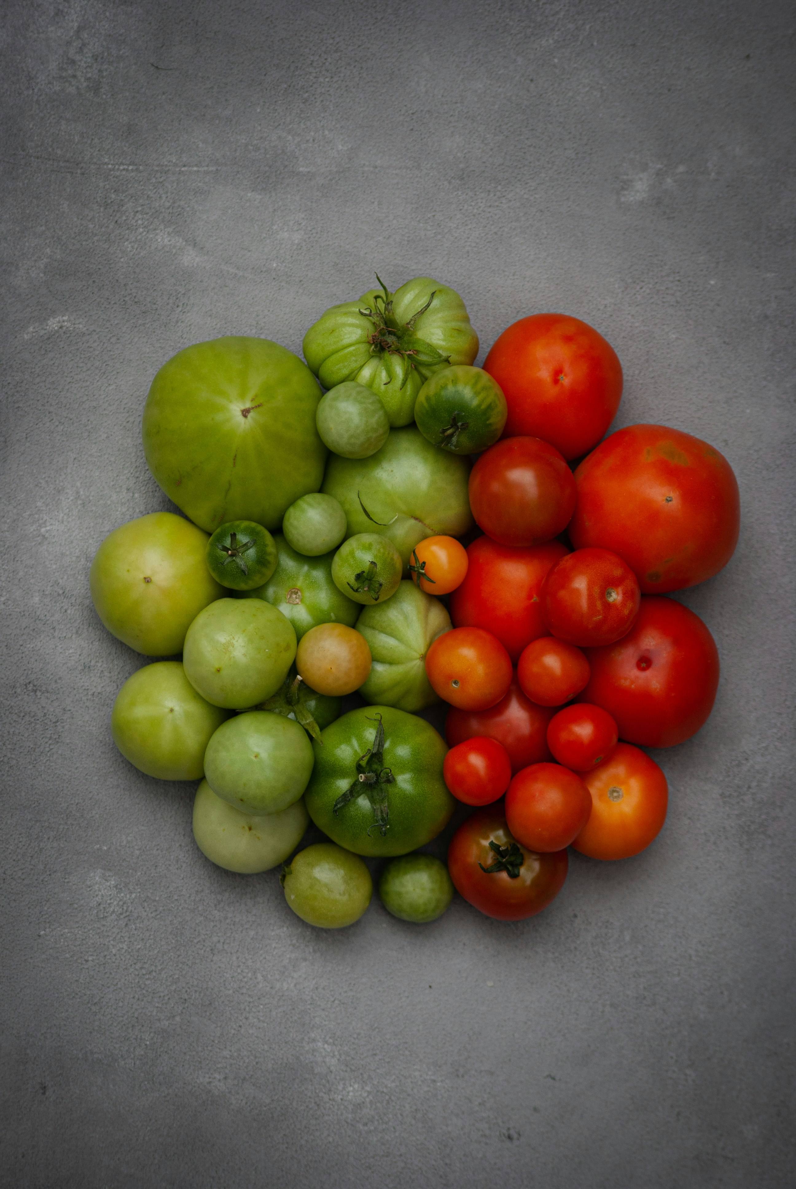 Cover Image for Calendar