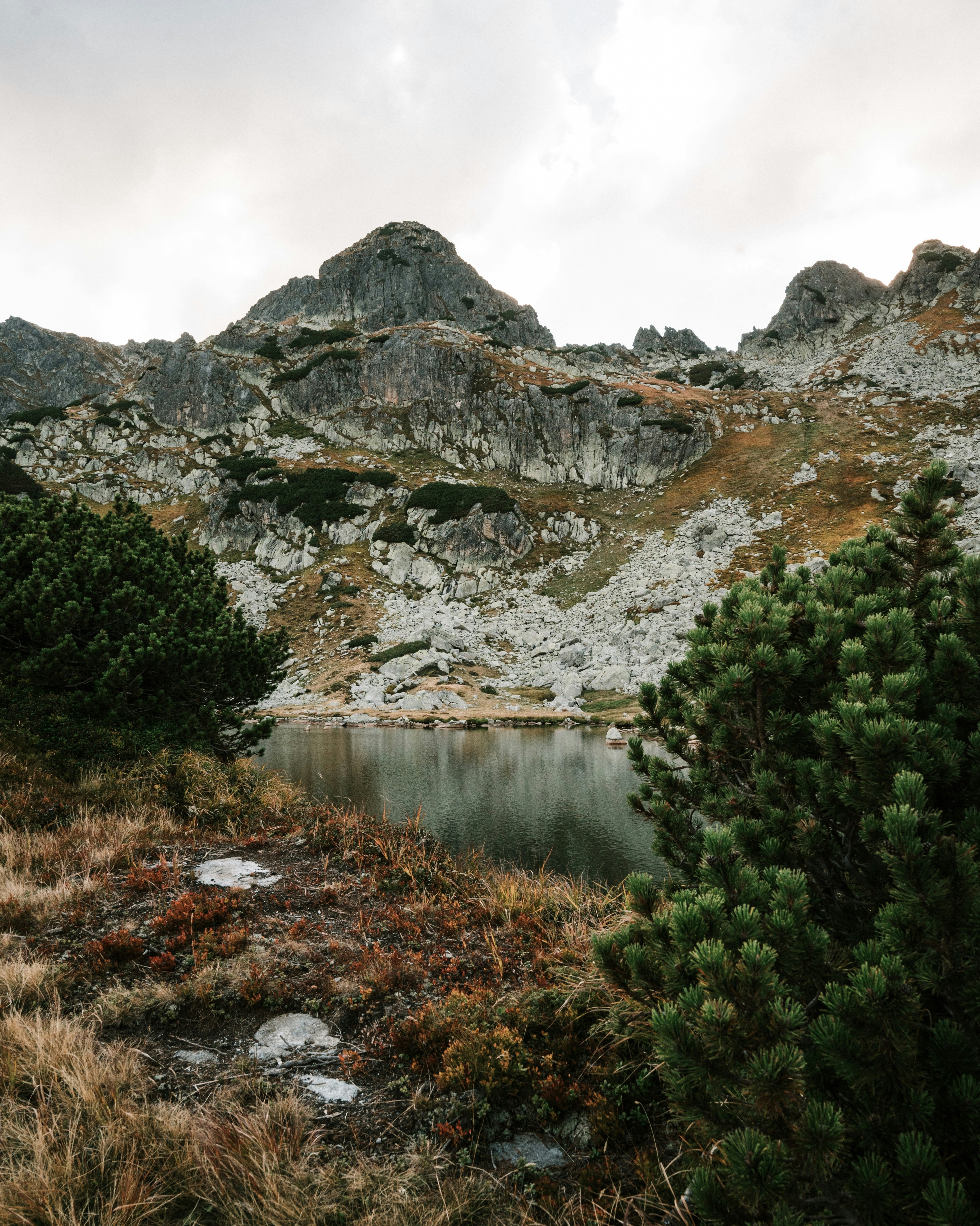 Photo by tamas_tuzeskatai