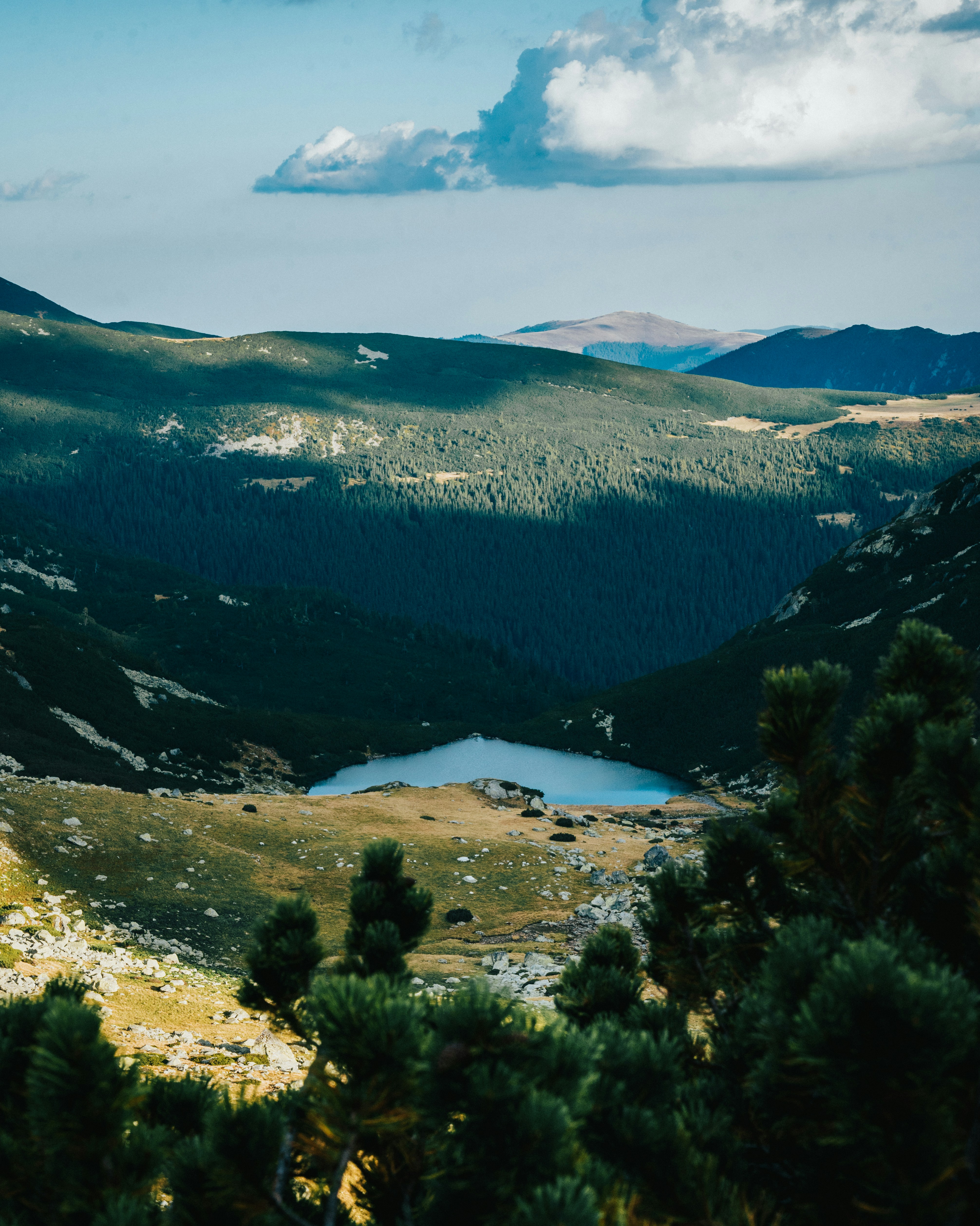 Photo by tamas_tuzeskatai