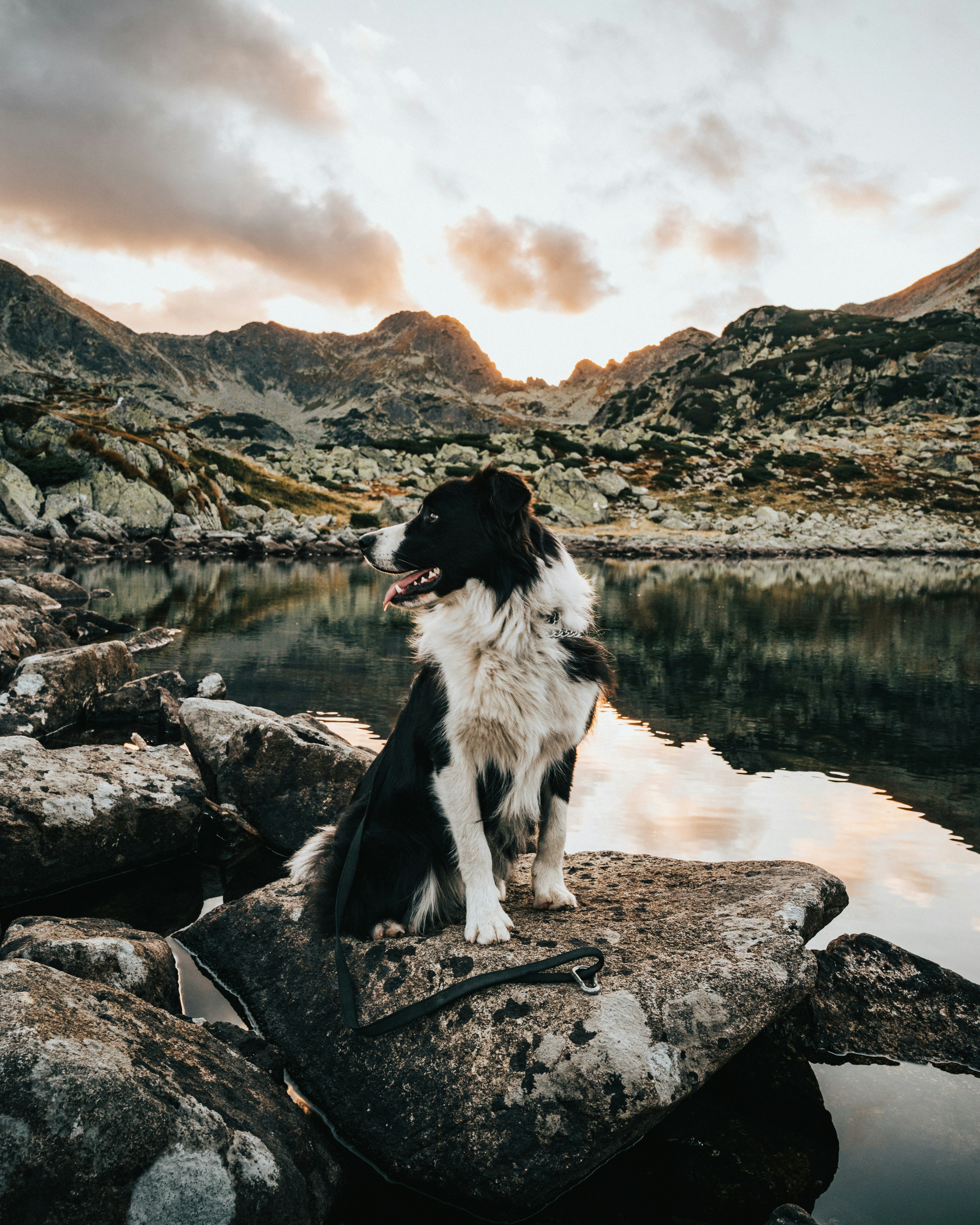 Photo by tamas_tuzeskatai