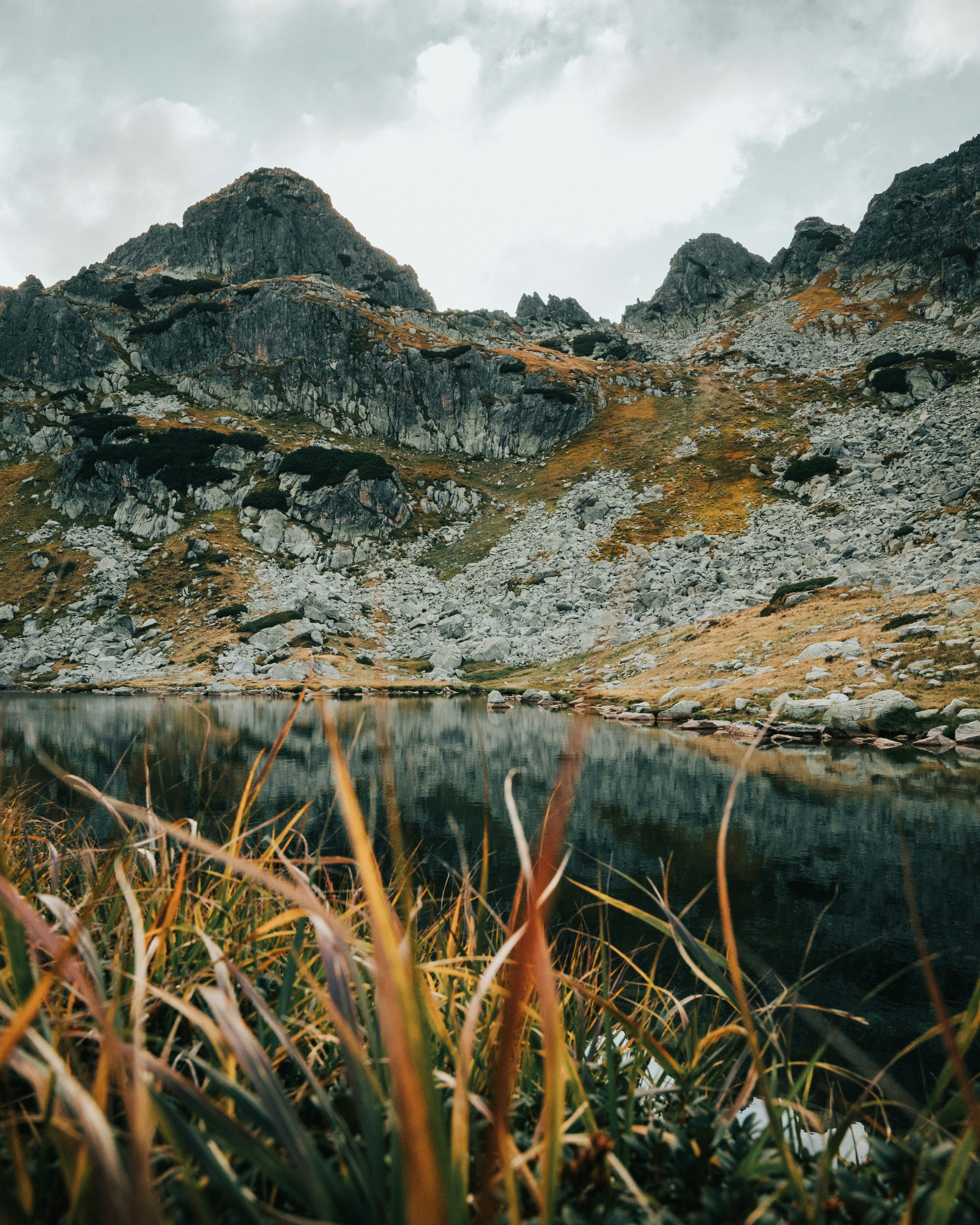 Photo by tamas_tuzeskatai