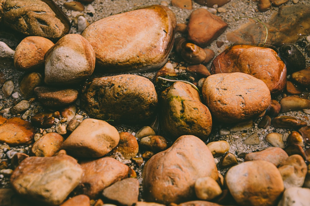 a bunch of rocks that are laying on the ground