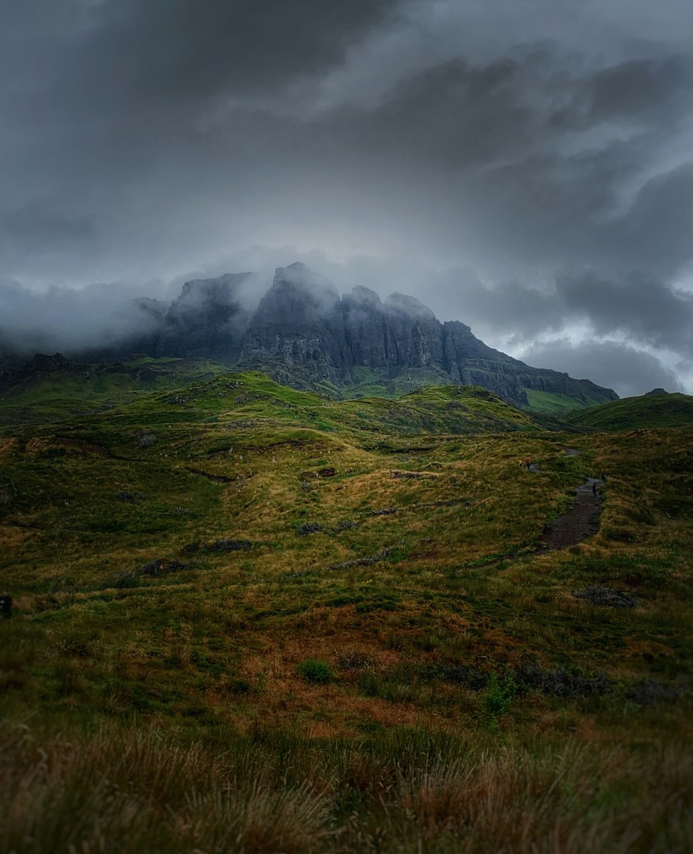 a grassy hill with a very tall mountain in the background