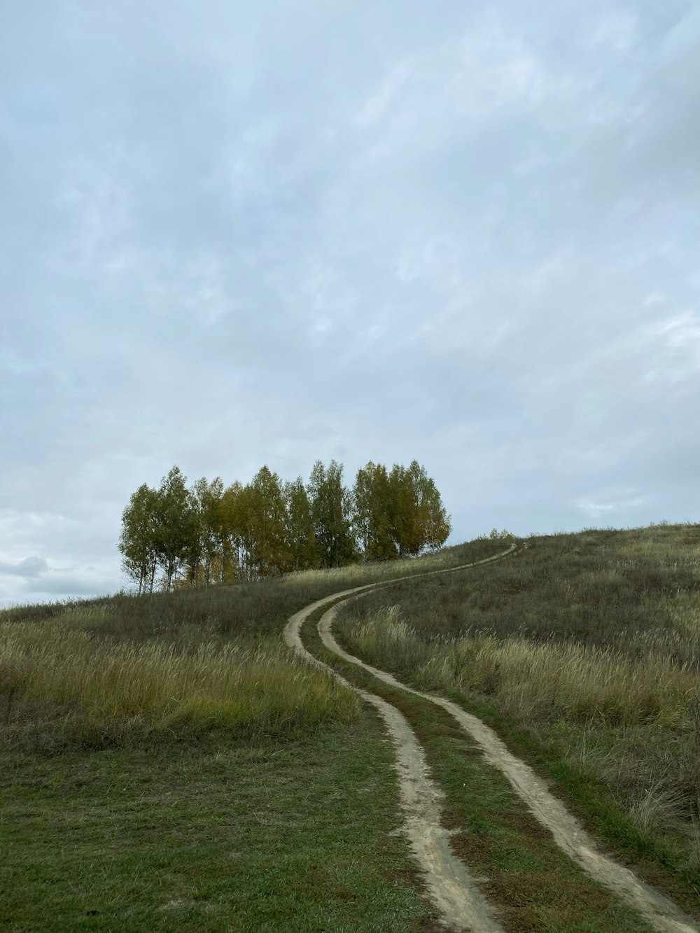 a dirt road in the middle of a grassy field