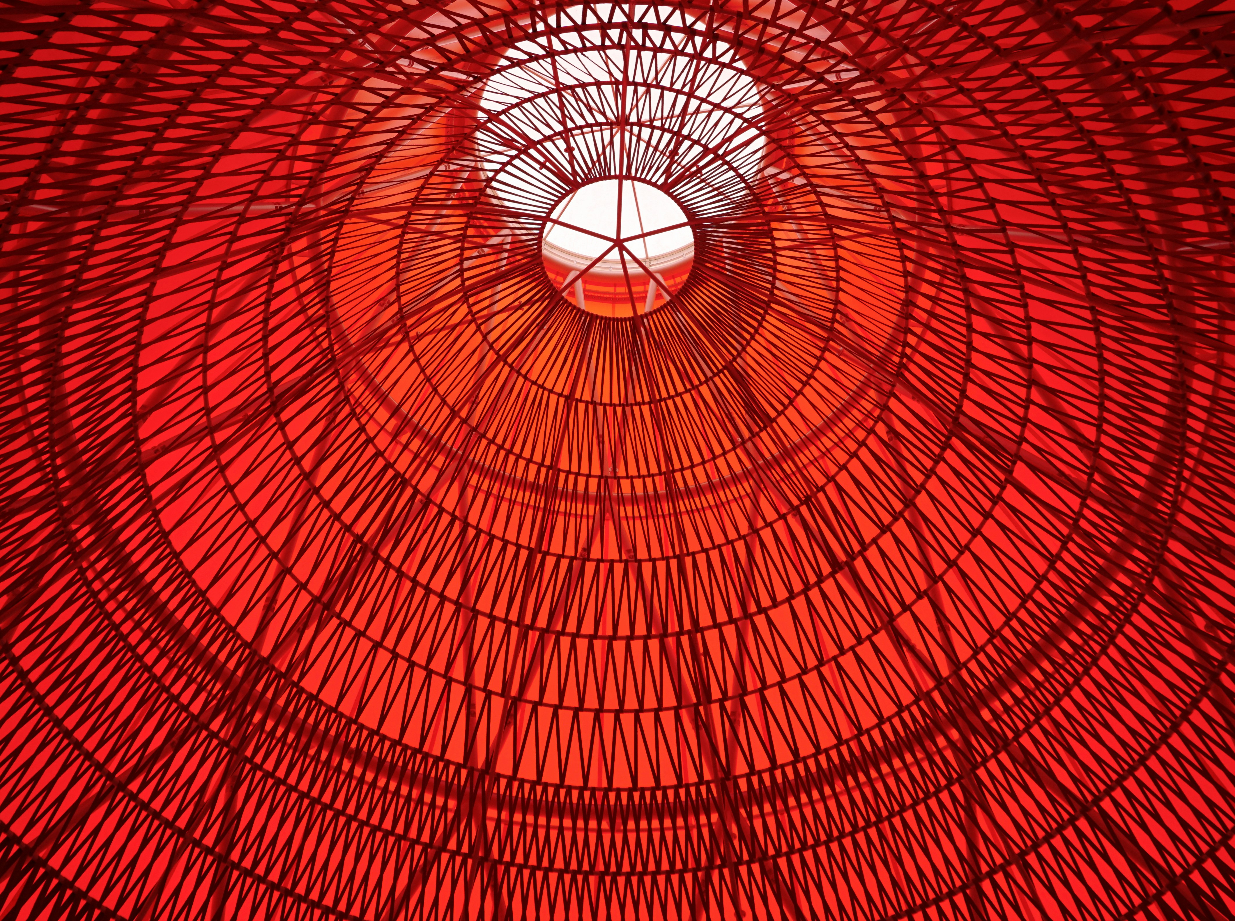 Photo by saj_shafique