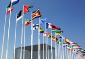 a bunch of flags that are flying in the air