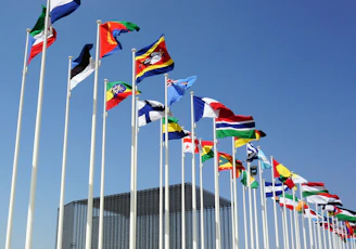 a bunch of flags that are flying in the air