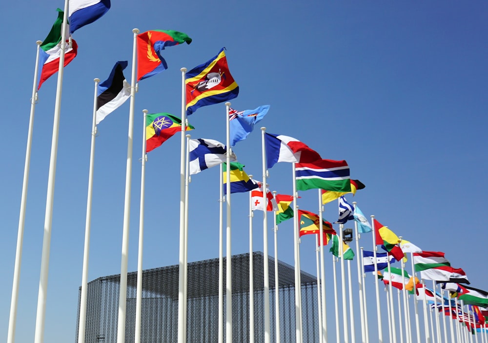 a bunch of flags that are flying in the air