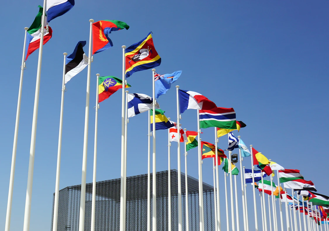 UN Flags