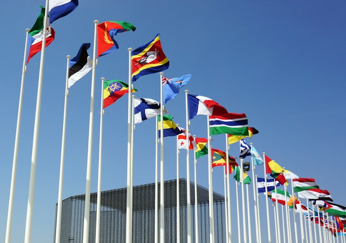 Flags With a Diagonal Cross