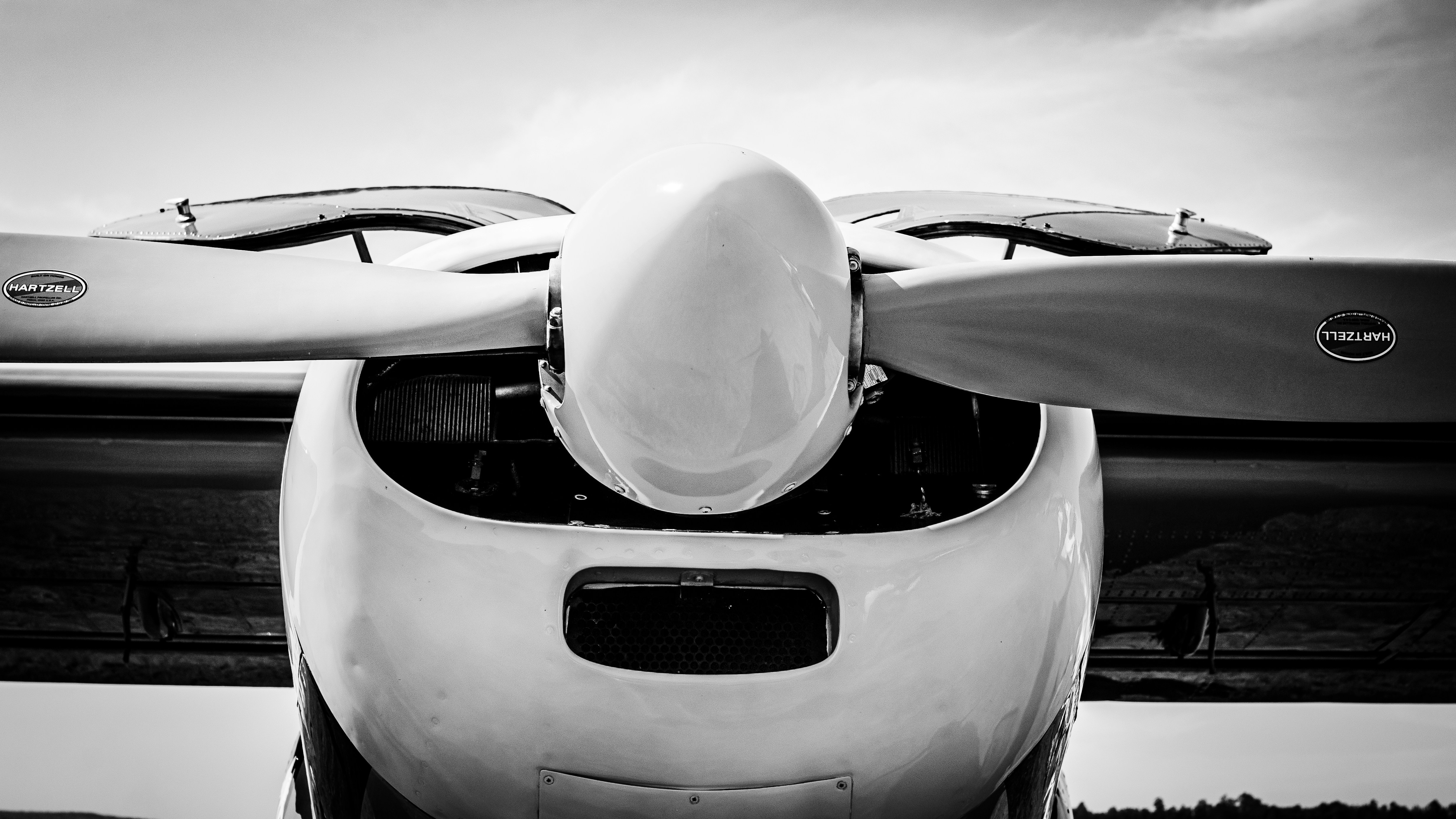 Photo by stewardesign