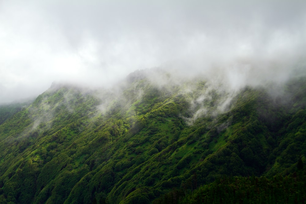 a green mountain covered in fog and clouds
