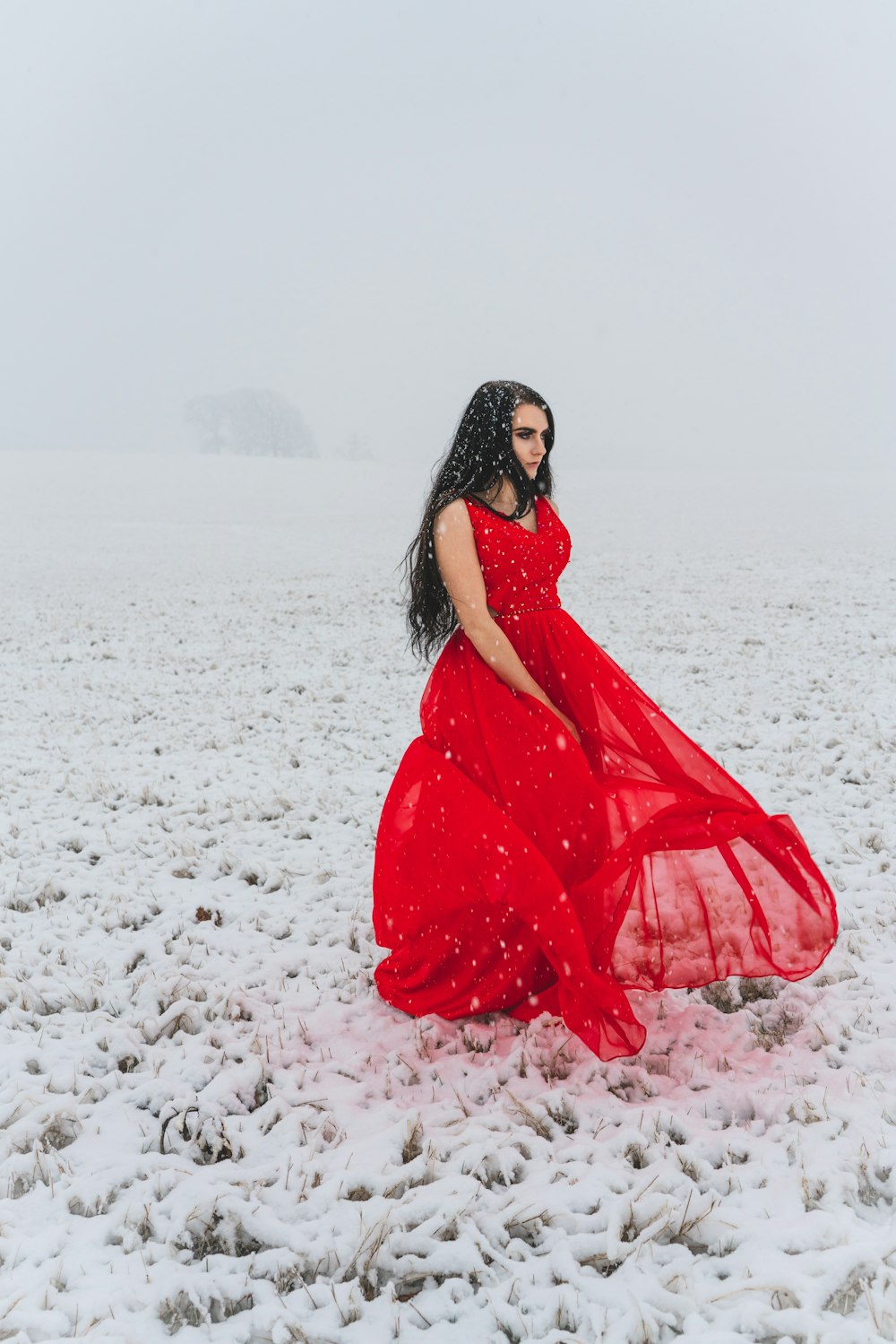 a woman in a red dress in the snow