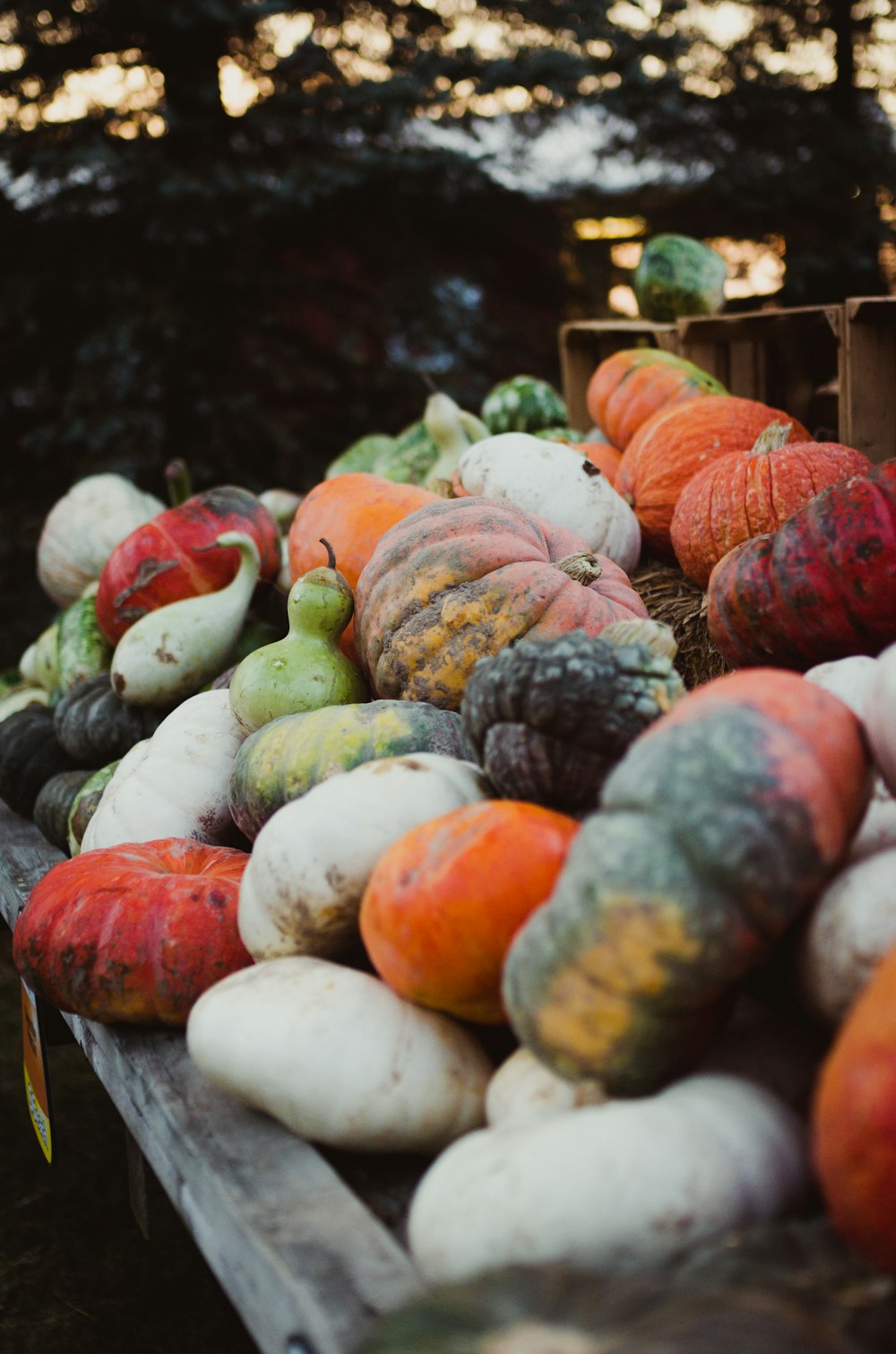 a pile of pumpkins sitting on top of a wooden table