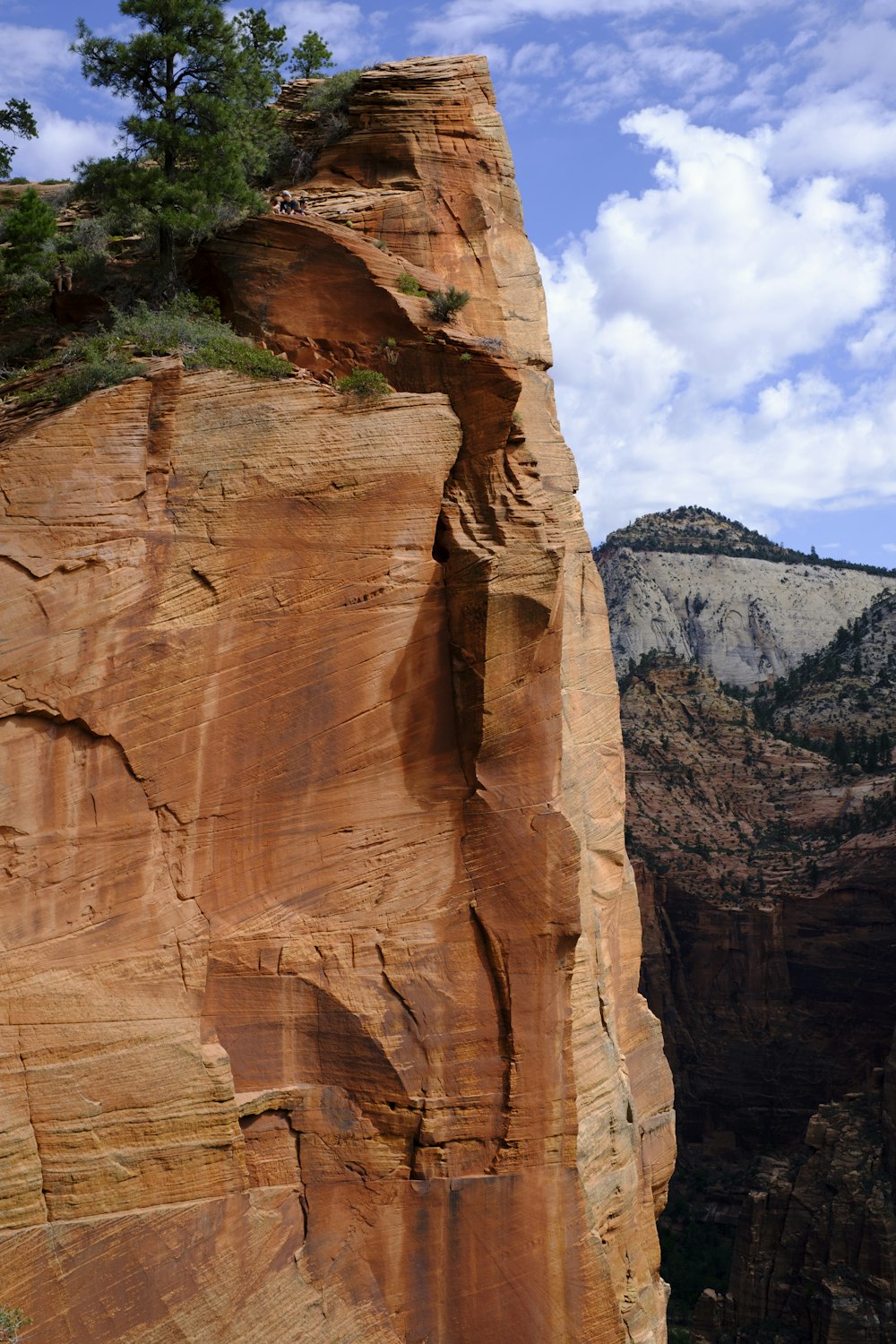 a person standing on a cliff with a mountain in the background