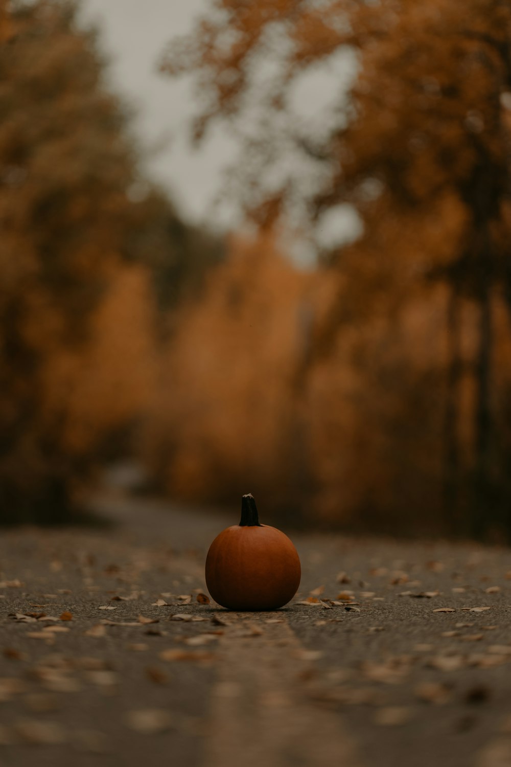 a small pumpkin sitting on the side of a road