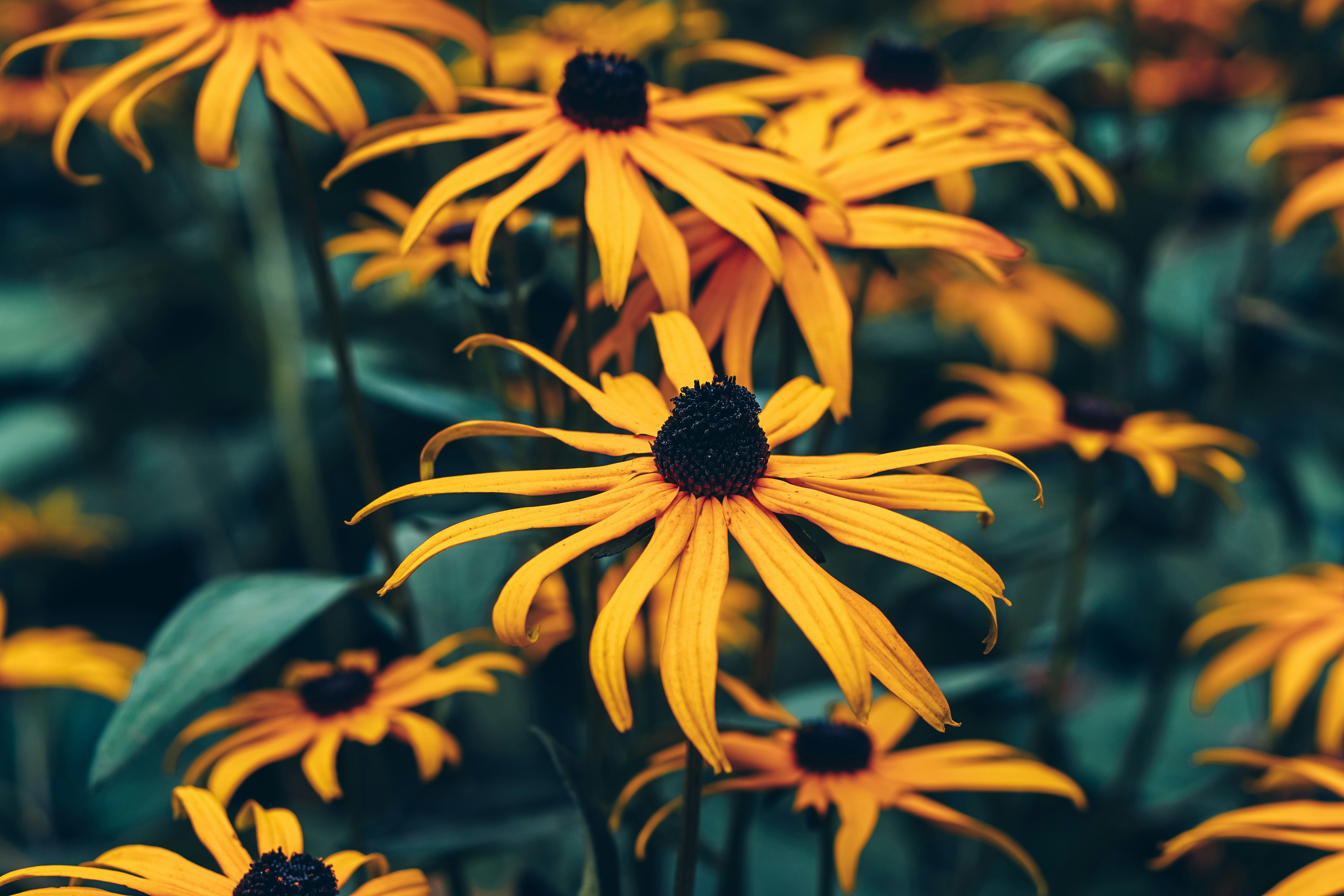 Photo by dmitry_vasilyev