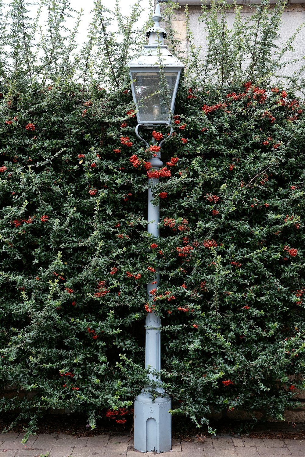 a street light surrounded by a bush of red flowers